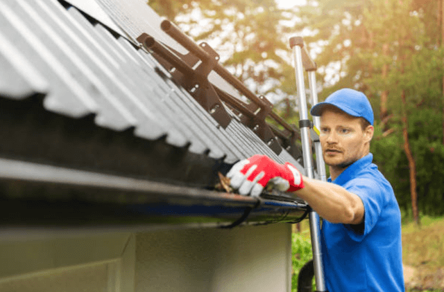 fremont gutter service